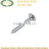 DIN, ANSI, JIS, ISO, GB Self-tapping Screw