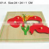 Hot Selling Kids Educational Mould Wooden Toys Flower Puzzle thumbnail-1
