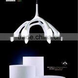 2013 New Design Acrylic LED Pendant Light LED Decoration Light