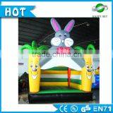 0.55mm PVC Tarpaulin Miniature Castle Indoor Mini Bouncy Castle,crocodile Mini Bouncer,spacewalk for Sale thumbnail-2