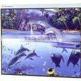 New Design Projection Screen for Meeting System