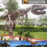 MY Dino-C021 Animated Dinosaur Fossil for Sale