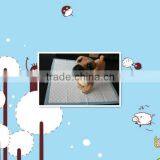 Excellent Quality Pet Training Pads thumbnail-1