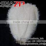 CHINAZP Trade Assurance Gold Supplier Size Frcom 20inch to 22inch White Ostrich Feather for Wedding Centerpiece thumbnail-6