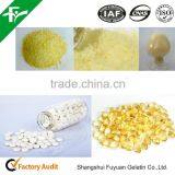 Gelatin Chemical Formula thumbnail-4