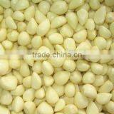 Dry Garlic Disc Machine/garlic Peeling Machine/garlic Skin Peeler/garlic Cutting Machine thumbnail-5