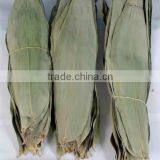 Zhu ye Dry Bamboo Leaves Dry Bamboo Leaf for Rice Dumplings thumbnail-4