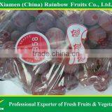 Fresh Sweet Red Grape for Export thumbnail-6