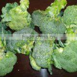 Deep Iqf Frozen Broccoli Cut Cuts Vegetable in 10kg Carton thumbnail-2