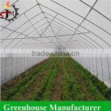 Simple Polytunnel Greenhouse thumbnail-4