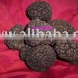 white or black TRUFFLE from Italy