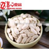 Chinese Best Price White Pumpkin Seeds