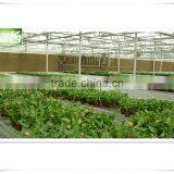 Evaporative Cellulose Paper Wet Pad Cooling System for Greenhouse