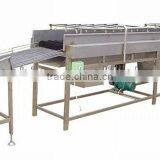 Potato Washing Machine thumbnail-1