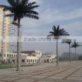 Artificial Palm Tree Indoor Decoration House /hotel Plastic Palm Tree Canada thumbnail-4