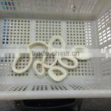 Mix of Seafood thumbnail-6