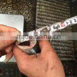 Frozen HGT Pacific Mackerel thumbnail-5