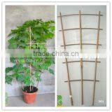Garden Bamboo Trellis for Flower and Fruit for Wholesale thumbnail-2