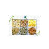 Snacks Extruder thumbnail-1