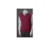 v Neck Cashmere Vest thumbnail-1