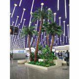 Preserved Date Palm thumbnail-2