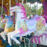 Carousel Horse Ride thumbnail-3