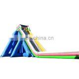 Giant Heavy Duty Hippo Inflatable Water Slides Adult thumbnail-1