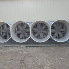Fiberglass Poultry Factory Exhaust Blower Ventilation Exhaust Fan thumbnail-5