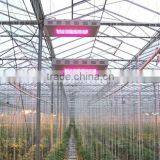 HL-G80A Led Grow Lights for Plants thumbnail-3