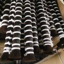 Violin Bow Hairreal Horse Hair Stallion Brown Black Horse Tail Hair