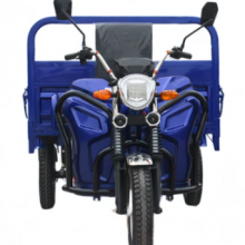 Heavy Loading Electric Tricycle With OEM Option Sanbengzi（Wechat:13510231336） thumbnail-1