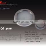 WS-LZD005 Newest COB Downlight