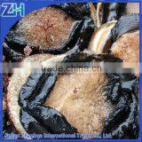 frozen abalone price for sale