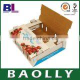 Eco-friendly Handy Plain Fruit Corrugated Packaging Box