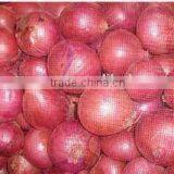 Onion Garlic Fruits Vegetable thumbnail-1