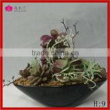 wholesale desert artificial succulent plant in plastic pot