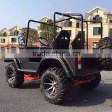 Jeep Fender Flares Four Wheel Motorcycle Mini Jeep for Sale thumbnail-2