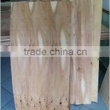 Viet Nam Suppliers 1.5 - 2.0 mm Eucalyptus Veneer thumbnail-2