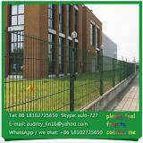 8*2+6mm, 6*2+5mm Powder Coated Green Double Wire Mesh Fence