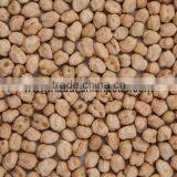 Price of Protein Chickpeas thumbnail-5