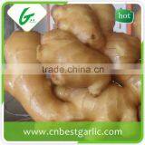 Made in China Edible Ginger thumbnail-3