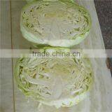 Fresh Chinese Long Cabbage for Export thumbnail-4