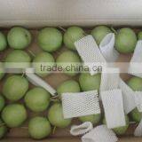 New su Pear thumbnail-1