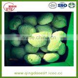 Chinese Hot Sale Fresh Cabbage With High Quality thumbnail-6