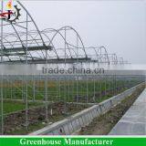 Reinforced Plastic Film Wide Multi Span Greenhouse thumbnail-5