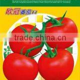 High Greenhouse Tomato Seeds thumbnail-2