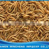 Microwave dried mealworm
