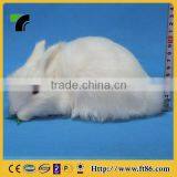 New Products Miniature Animals Gardening Wholesale Taxidermy thumbnail-5