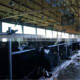 Dairy Cows Pipeline Milking Machine System