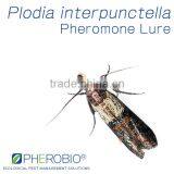 Pheromone Lure and Trap for Plodia interpunctella, Indian Meal Moth Trap & Lure Combo